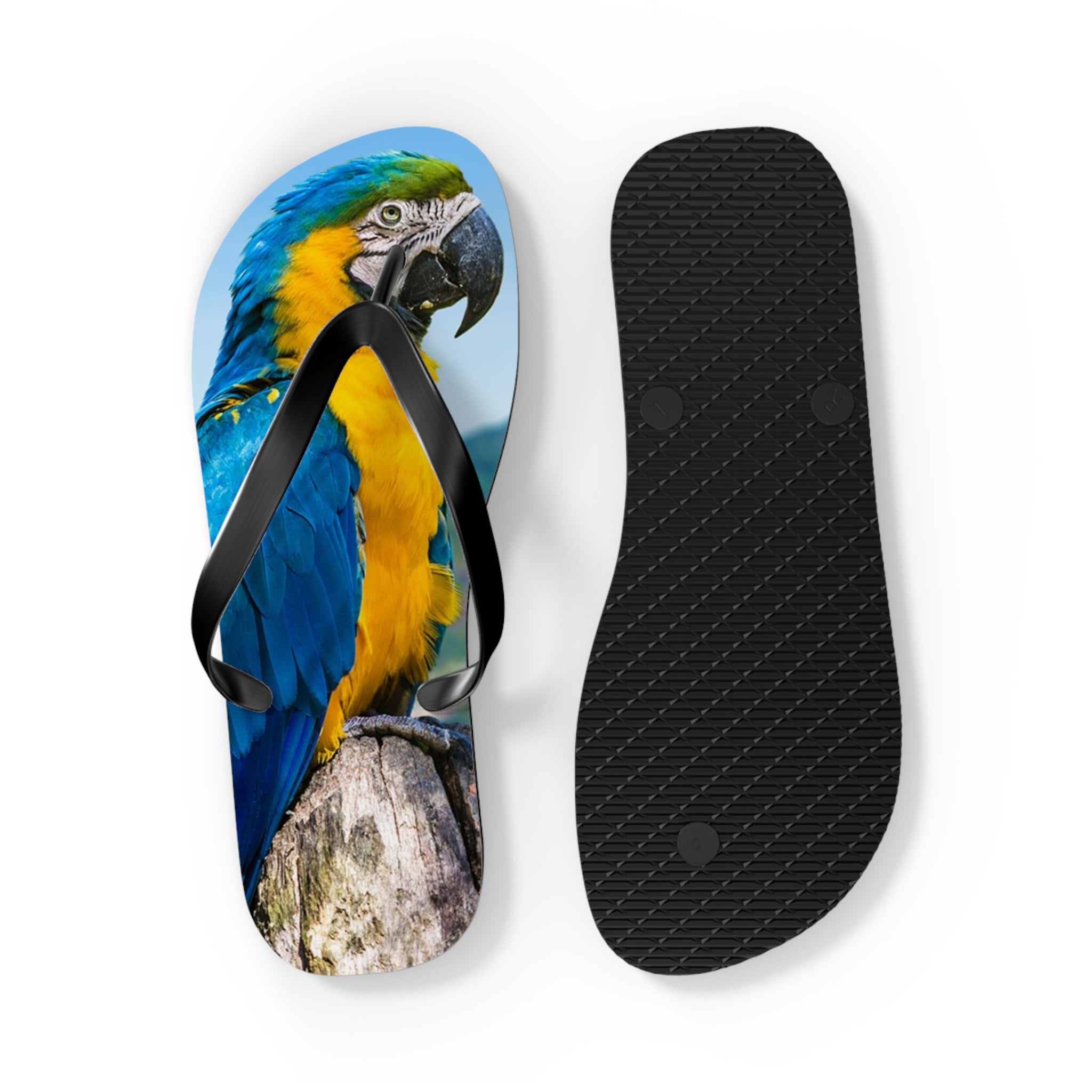 Parrot Flip Flops