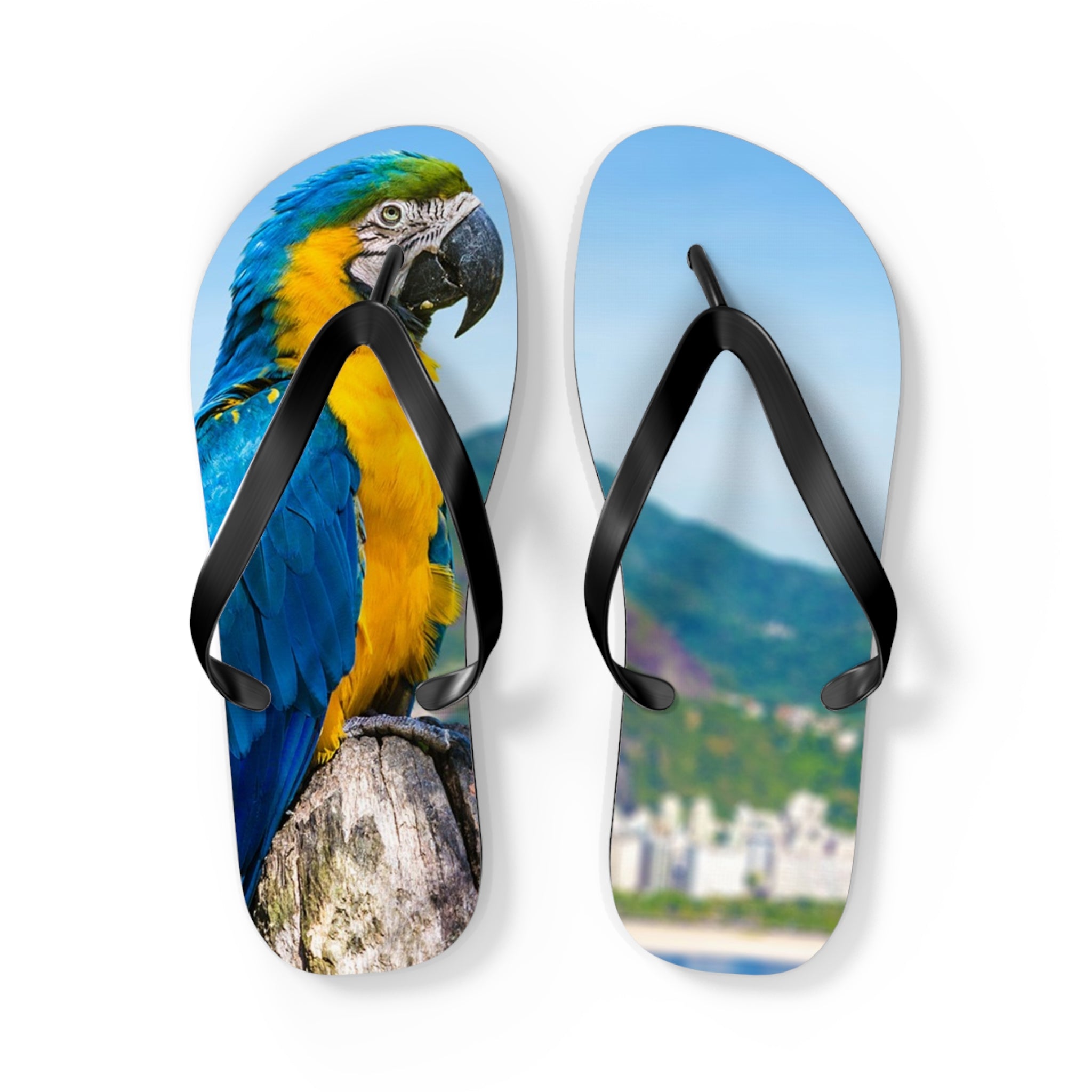 Parrot Flip Flops