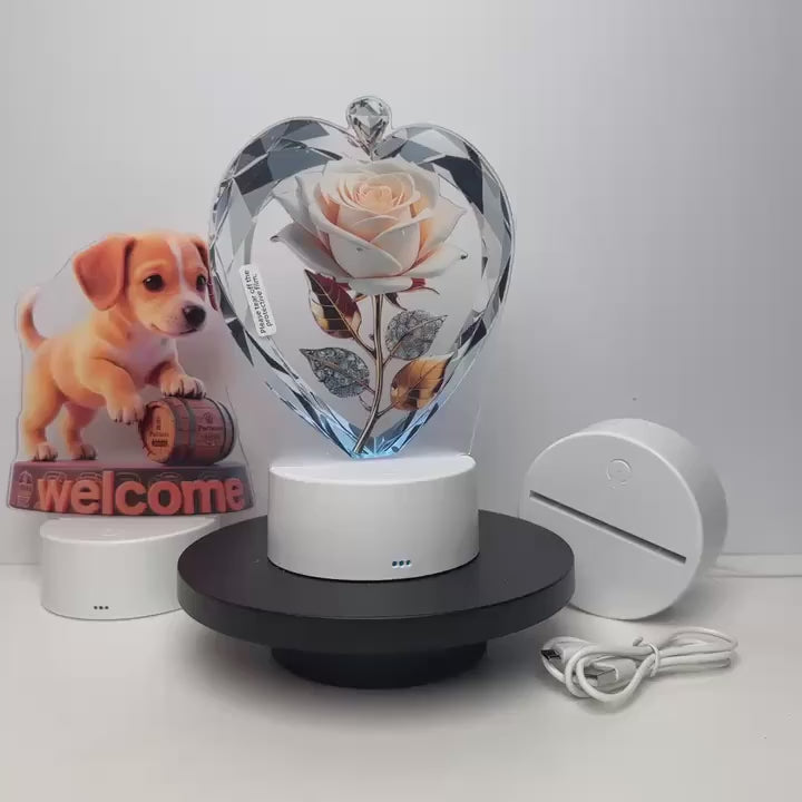 Two-Dimensional White Rose Diamond Heart LED Night Lamp