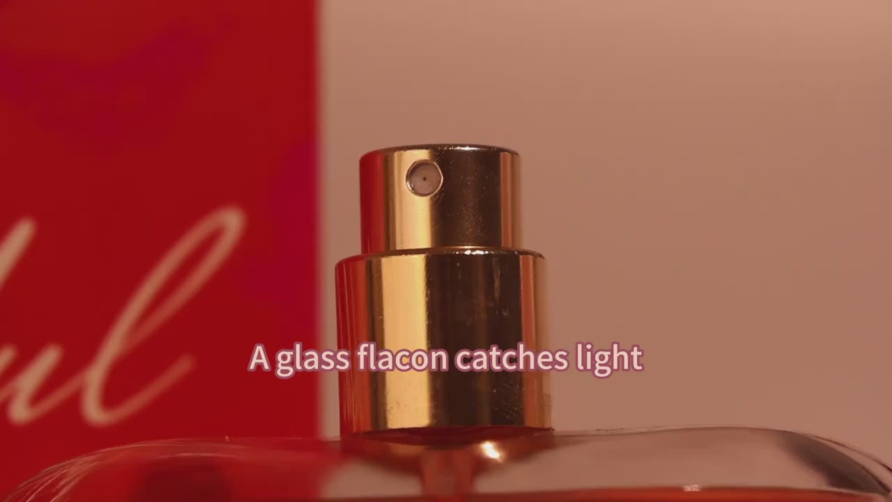 WISHFUL Ladies Spray Perfume Set